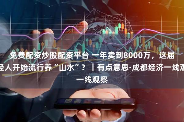 免费配资炒股配资平台 一年卖到8000万,这届年轻人开始流行养“山水”?|有点意思·成都经济一线观察